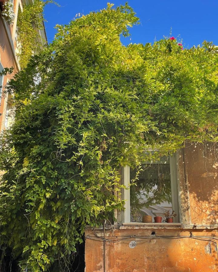 Suite La Chiostrina Al Cedro Róma Kültér fotó